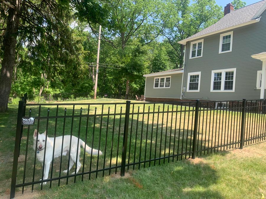 Aluminum Dog Fencing