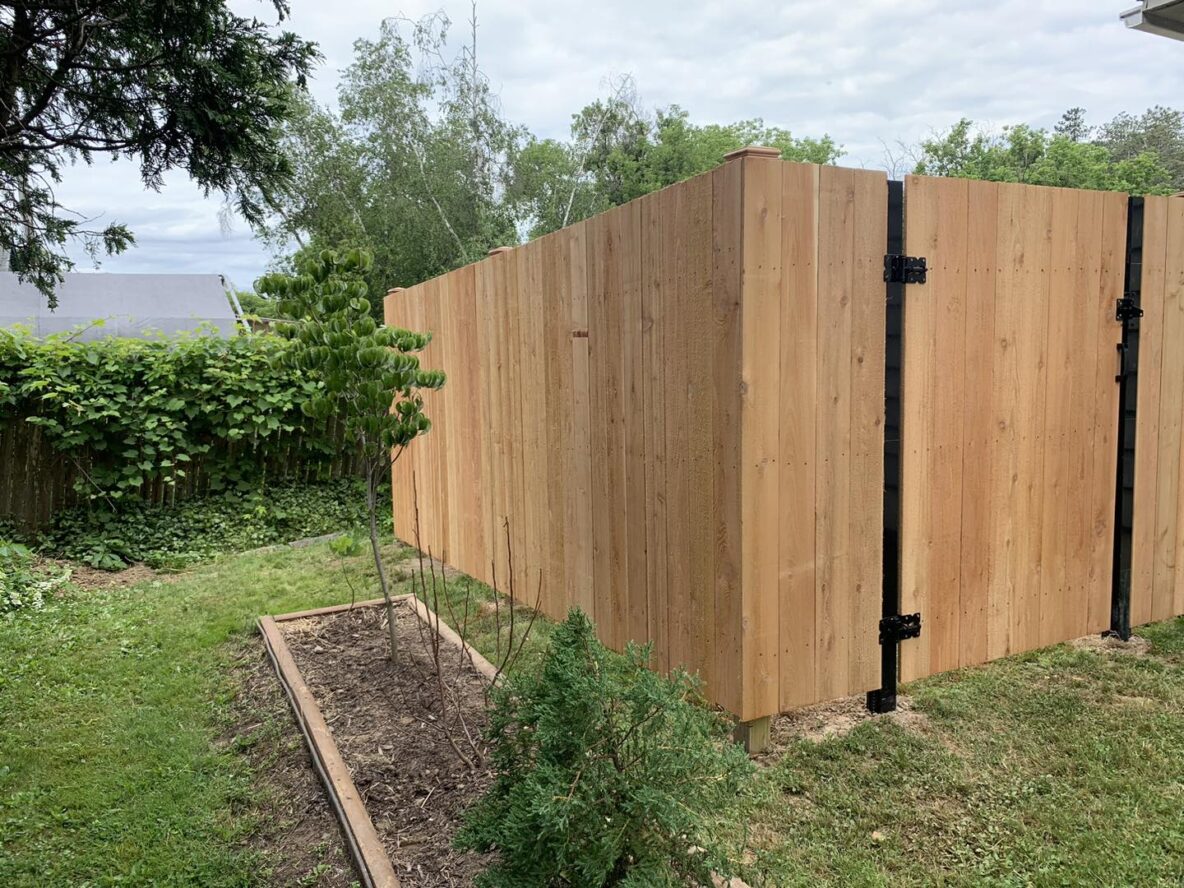 Cedar Fencing